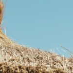 Selecting tactics shouldn't be like finding a needle in a haystack