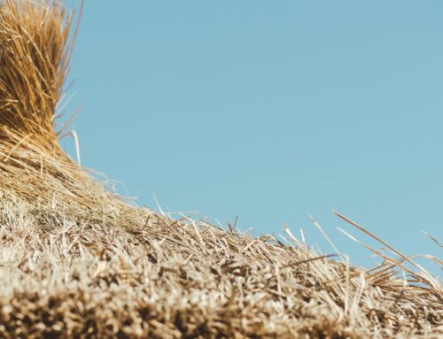 Make the MOST of Your Campaign: Selecting Tactics