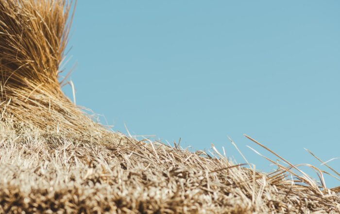 Selecting tactics shouldn't be like finding a needle in a haystack